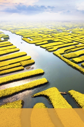 興化千垛菜花景區(qū)